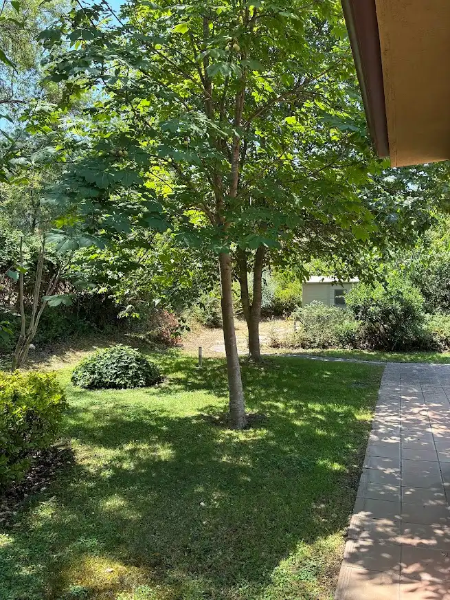 Xalet amb piscina en venda a Paseo de Serbales, imagen 38