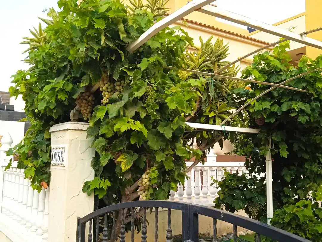 Terrassa de Pis en venda en Orihuela amb Aire condicionat i Terrassa