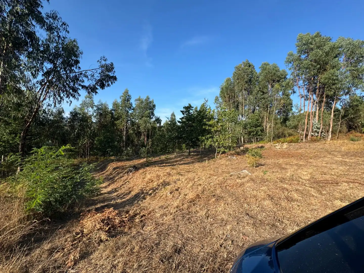 Lands and plots for sale in Lugar EIDO VELLO-BUDIÑO, imagen 2