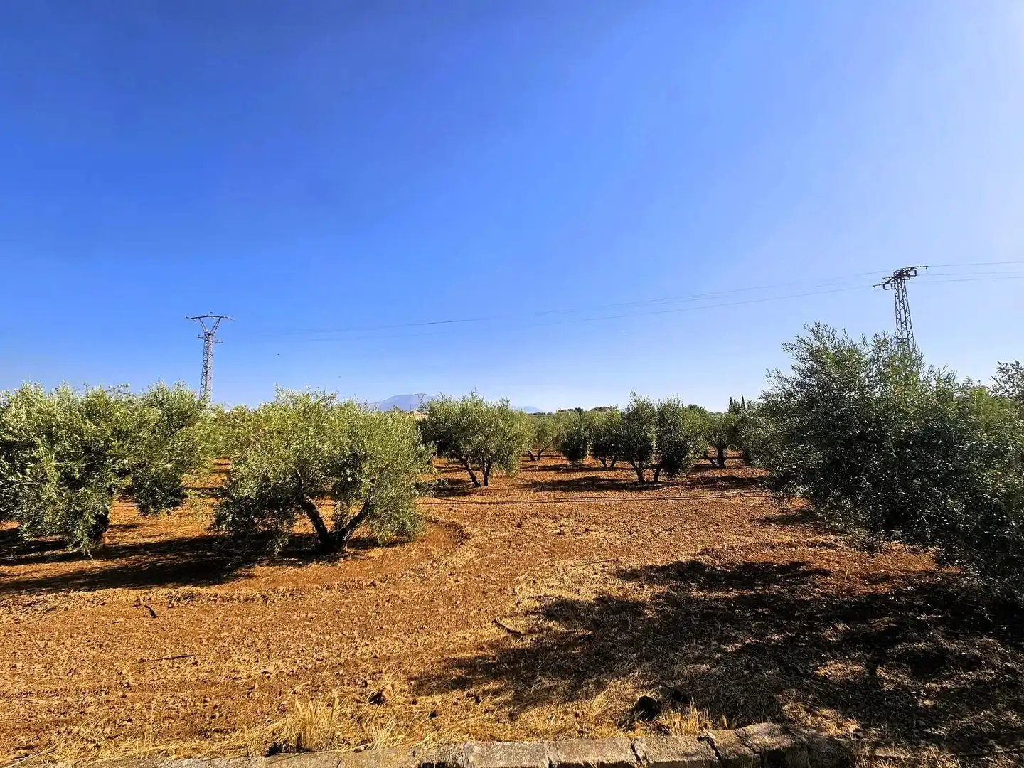 Terreny rústic en venda a Moraleda de Zafayona, imagen 55