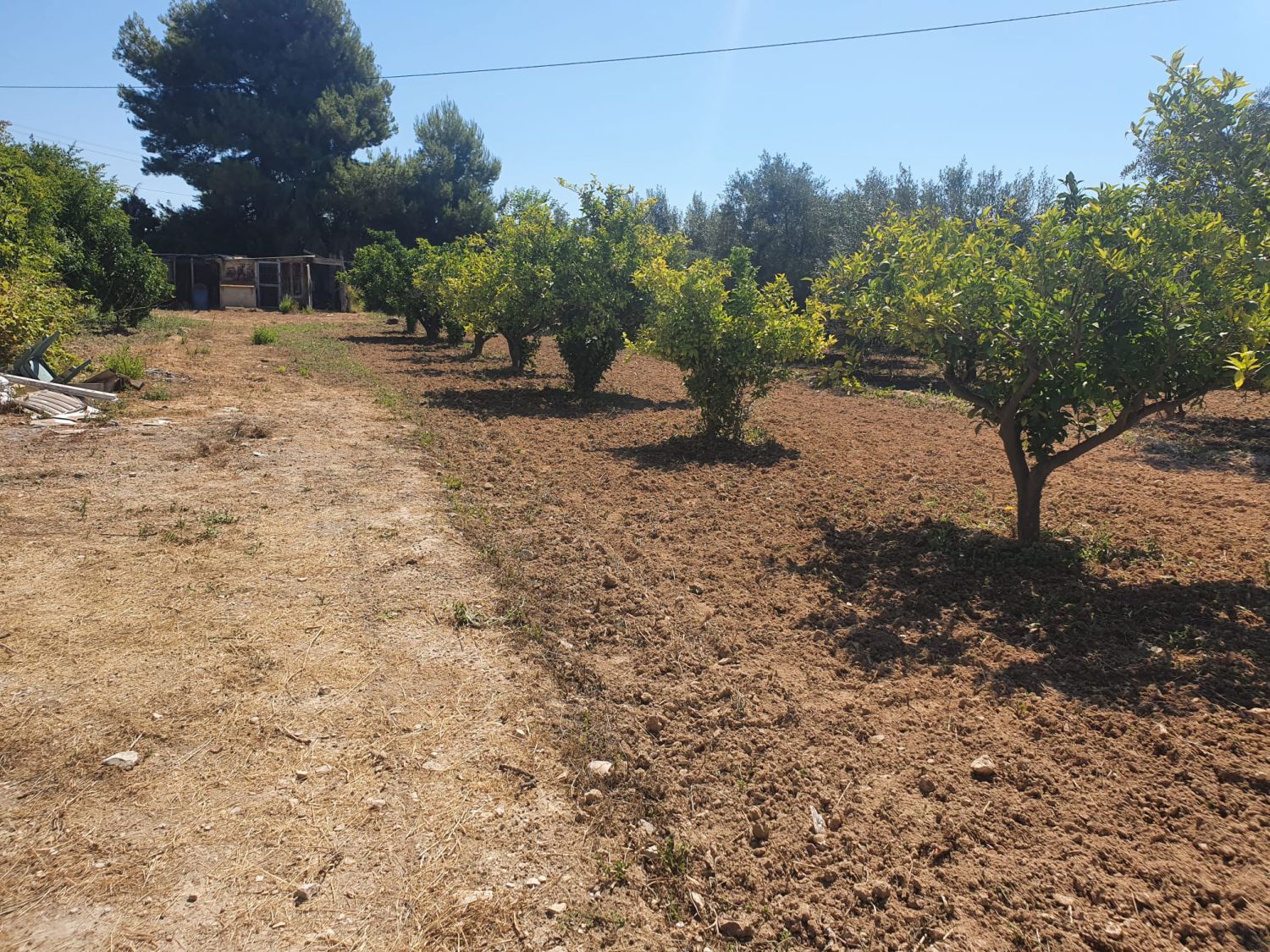 Finca rústica en venta en El Secanet - Hacienda del Sol