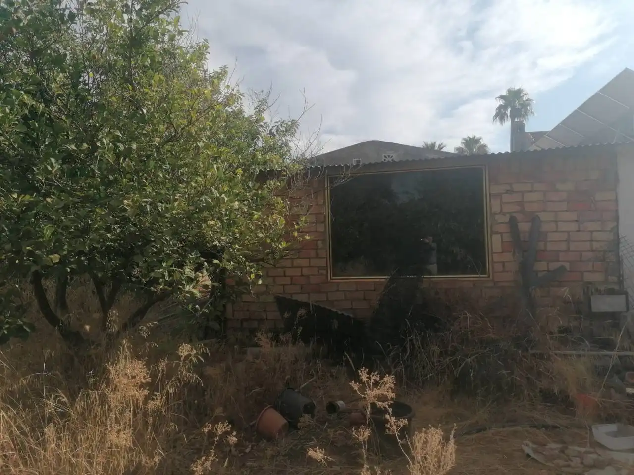 Vista exterior de Casa o xalet en venda en Carmona amb Jardí privat