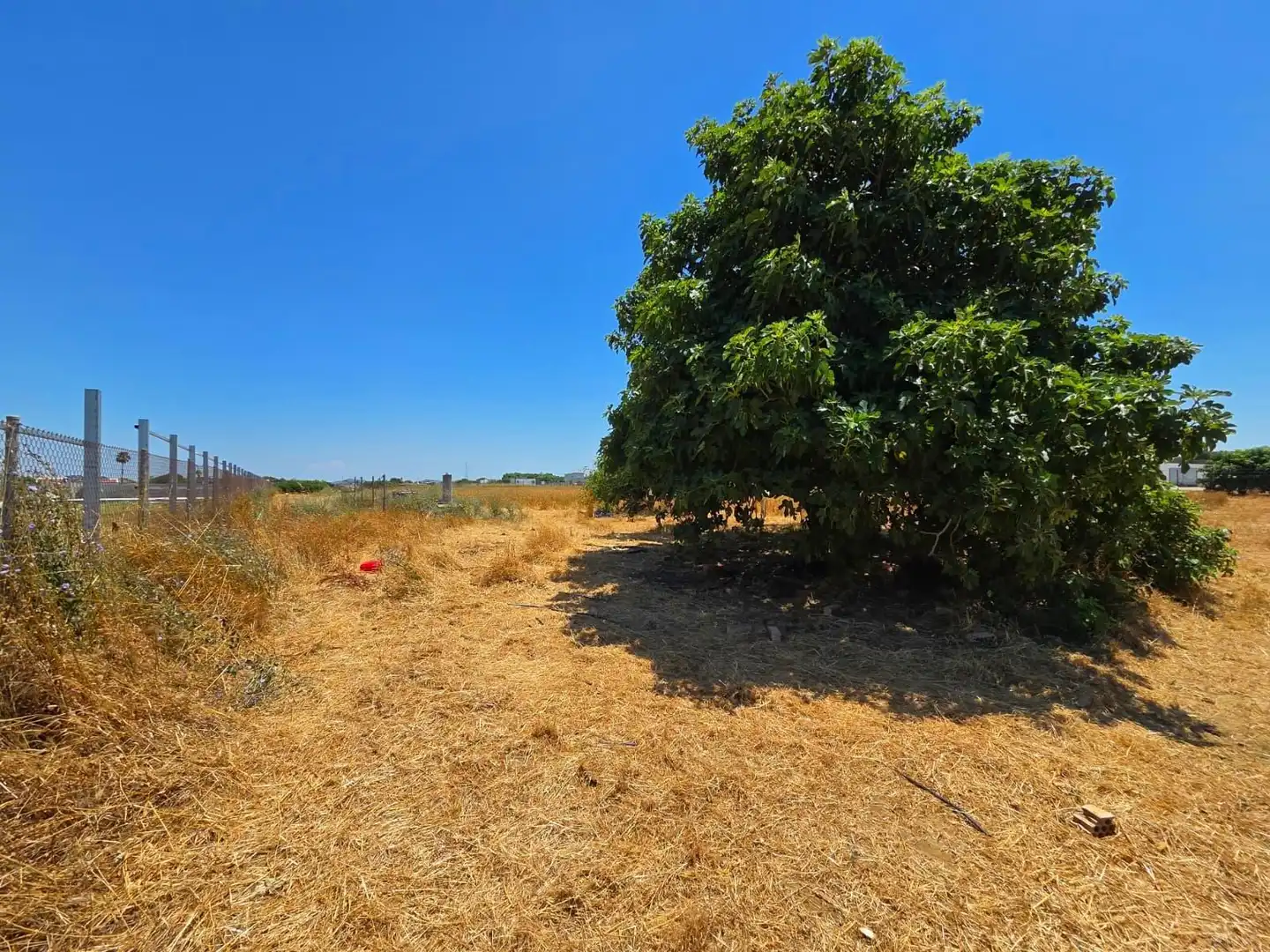 Terreno residenziale in vendita a Pelagatos - Pago del Humo, imagen 15