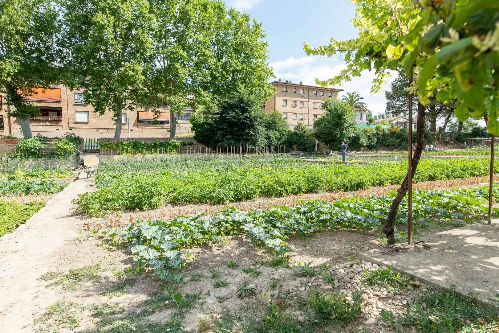 Jardín de Casa o chalet en venta en Puente la Reina / Gares con Calefacción, Jardín privado y Trastero