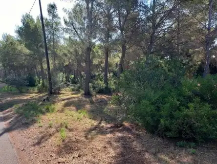 Terrain rustique à vendre à PT Sector R-6A UE2, imagen 7