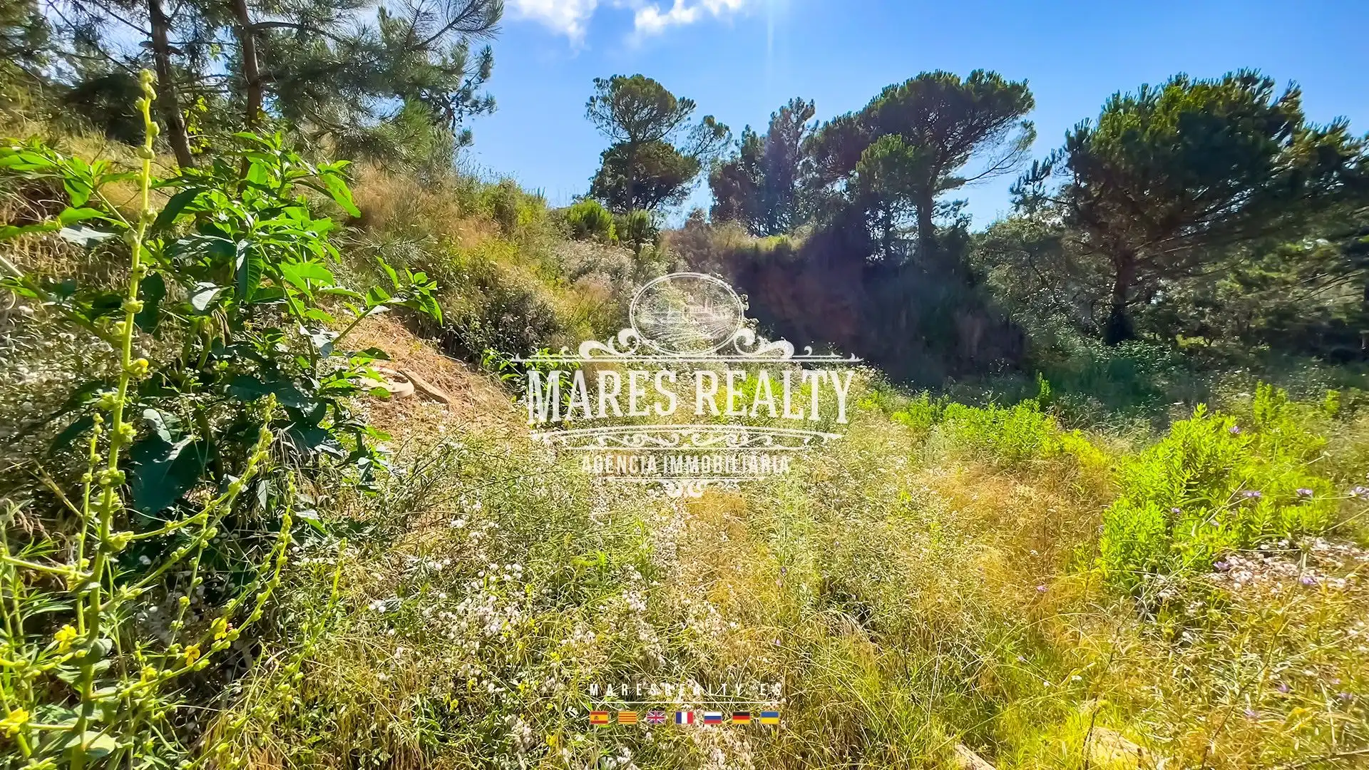 Terrenos y solares en venta en Serra Brava, imagen 4
