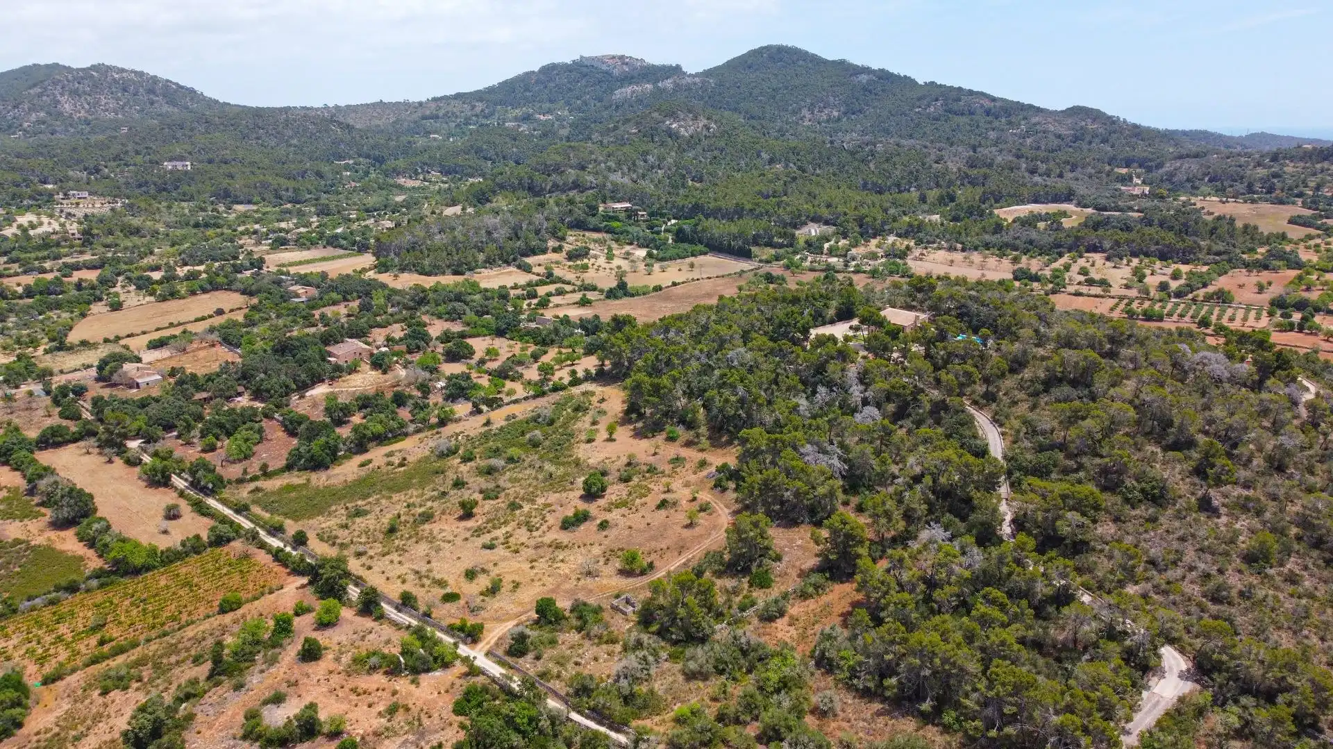 Lands and plots for sale in Felanitx Poble, imagen 10