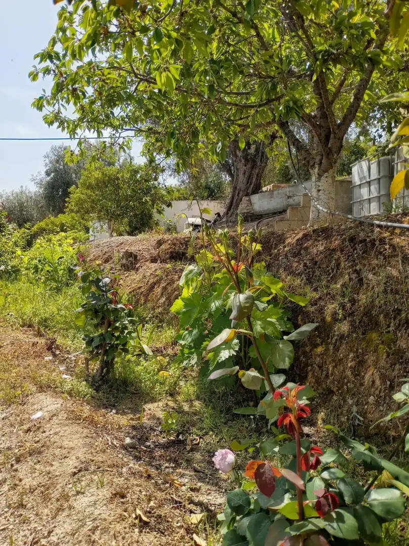 Terreni e lotti in vendita a El Valle, imagen 18