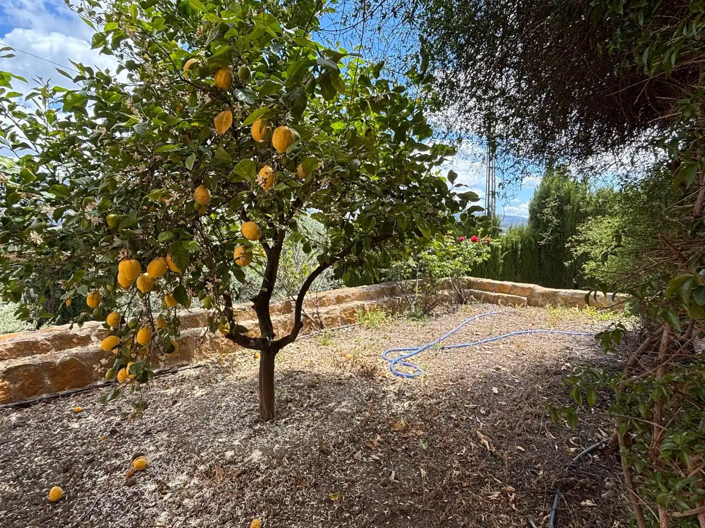 Detached house with pool for sale in Camino CAMINO VIEJO DE MOTRIL, imagen 60