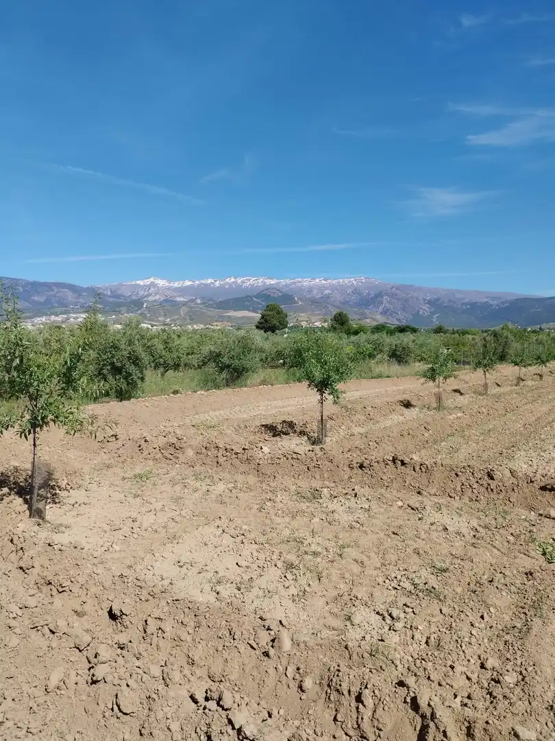 Terreni e lotti in vendita a Villa de Otura, imagen 24