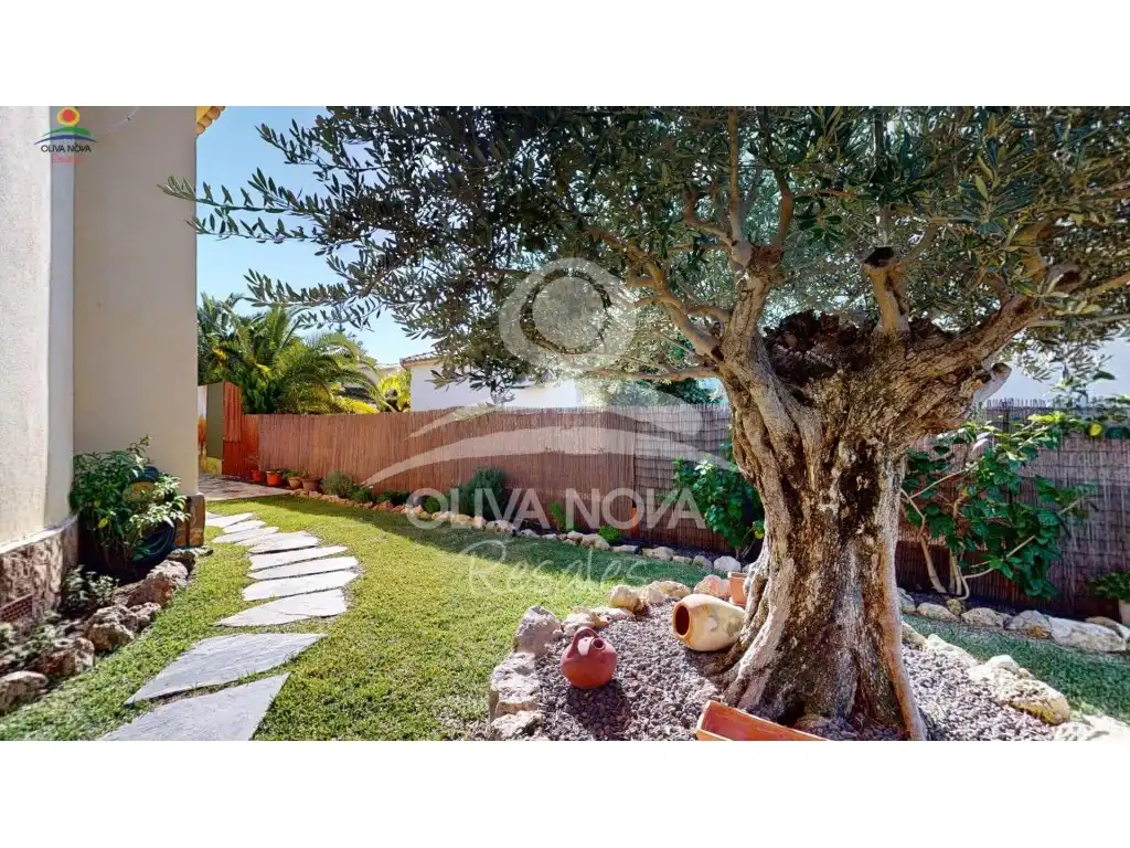 Jardín de Casa o chalet en venta en Oliva con Jardín privado