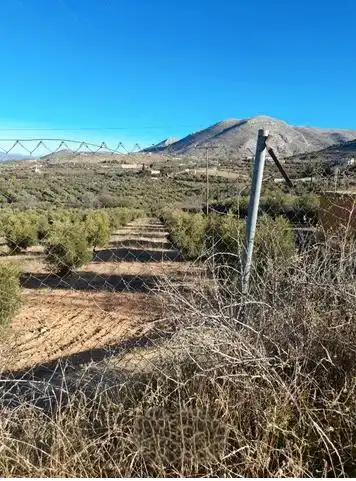 Terreny rústic en venda a Cogollos de la Vega, imagen 5