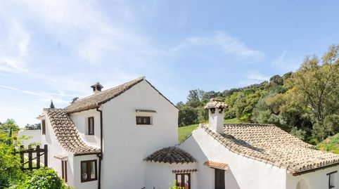 Villa de estilo rustico en Casares, parcela 30.000m, imatge 2