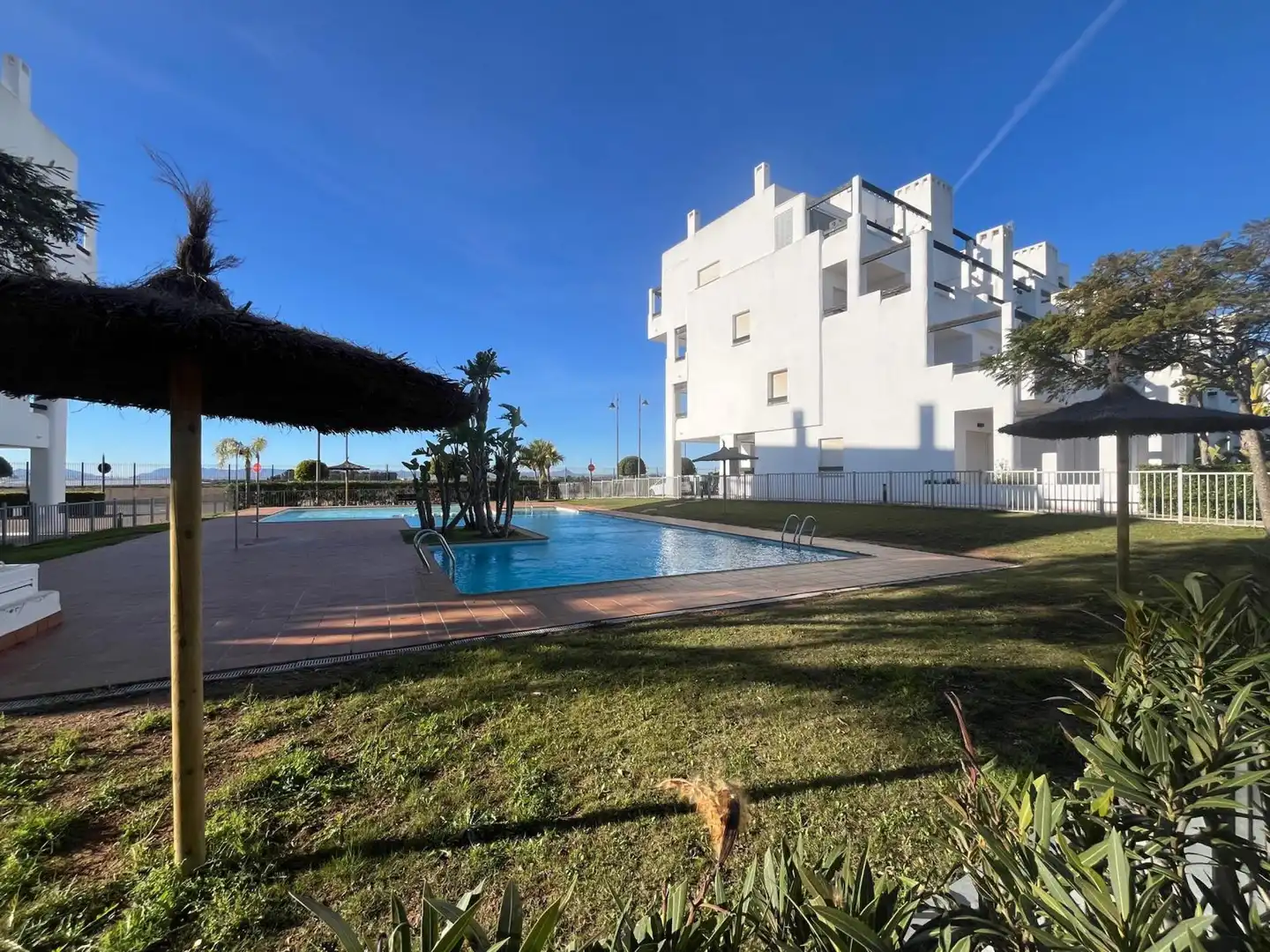 Jardí de Apartament en venda en Torre-Pacheco amb Terrassa i Moblat