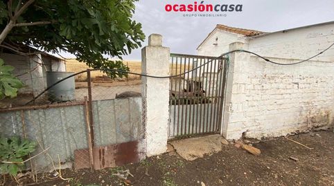 PARCELA CON NAVES Y EXPLOTACIÓN DE PORCINO, imatge 4