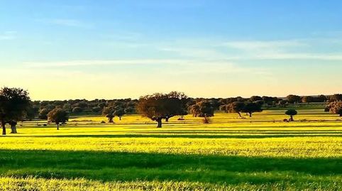 Foto 4 de Terreno en venta en Labradores, Salamanca Capital