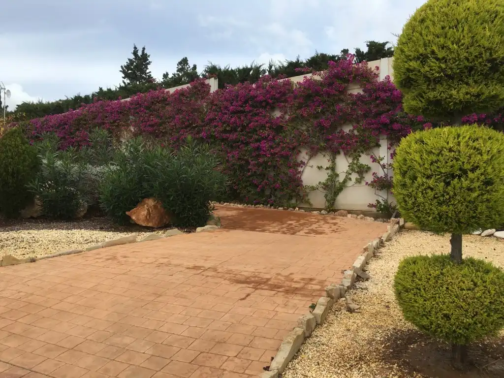 Casa o xalet en venda a Cartagena, Murcia
