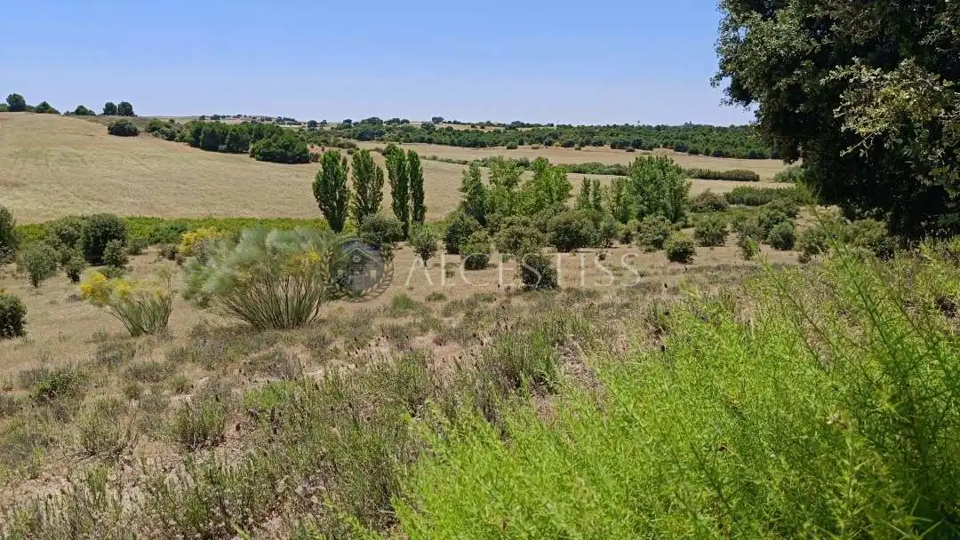 Terreno en venta en La Torre de Esteban Hambrán