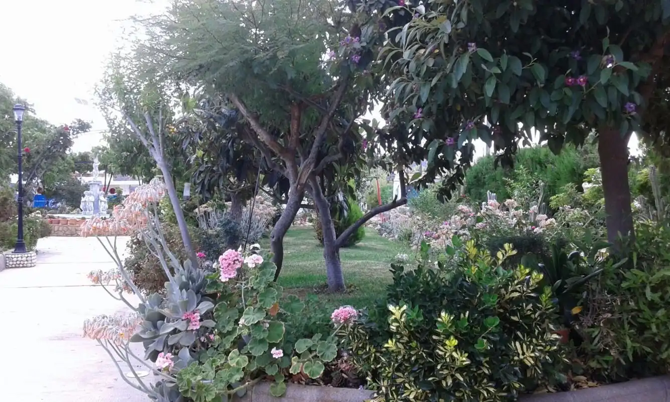 Villa avec terrasse à vendre à Calles, imagen 5