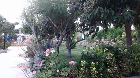 Photo 5 of House or chalet for sale in Calles, Valencia