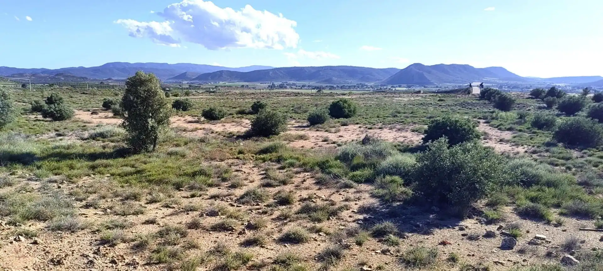 Rural land for sale in Partida Los Cabezos, imagen 5