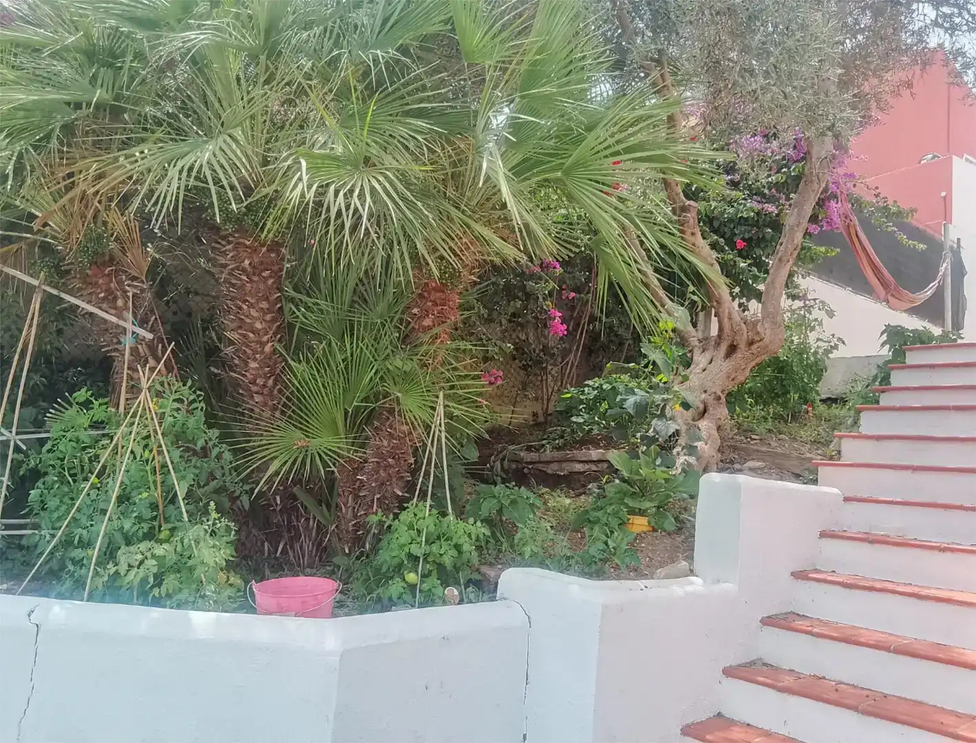 Jardí de Casa o xalet en venda en Algeciras amb Piscina i Balcó