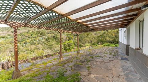 Photo 3 of House or chalet to rent in Tegueste, Santa Cruz de Tenerife