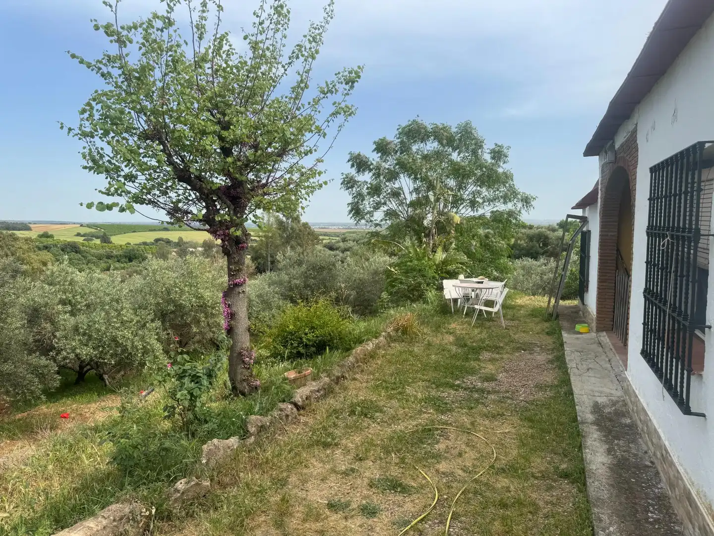 Jardí de Finca rústica en venda en Cantillana amb Terrassa