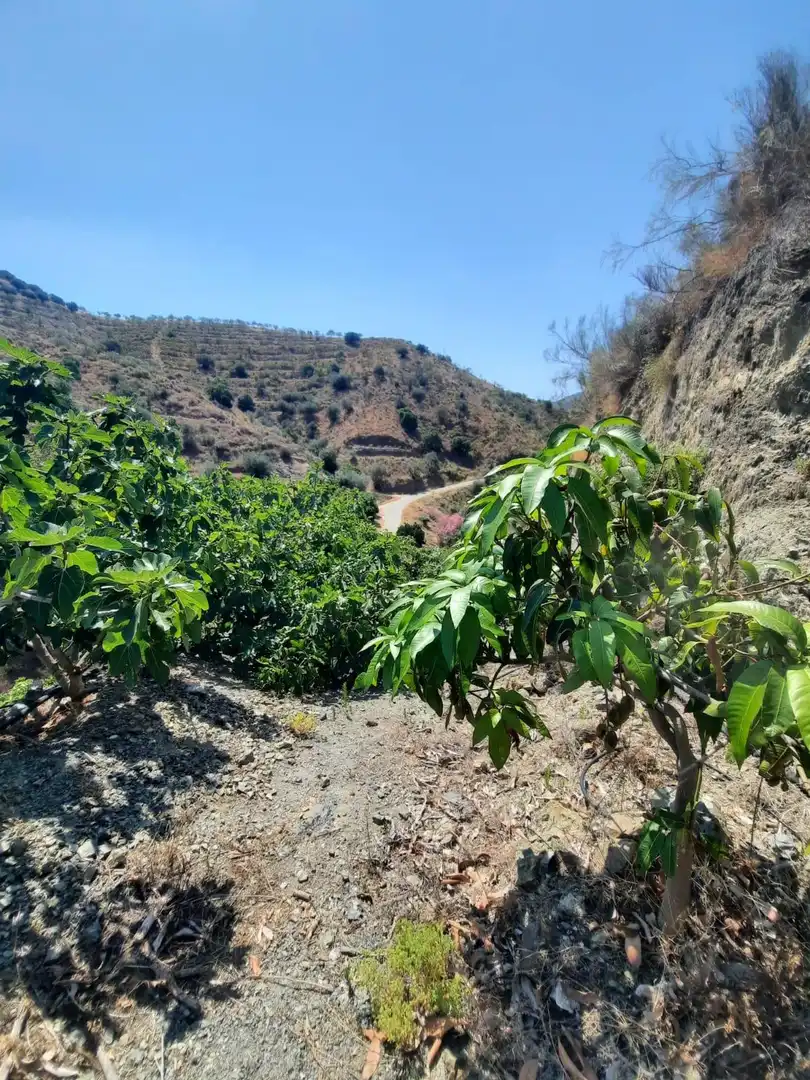 Terrenys i solars en venda a Canillas de Aceituno, imagen 10