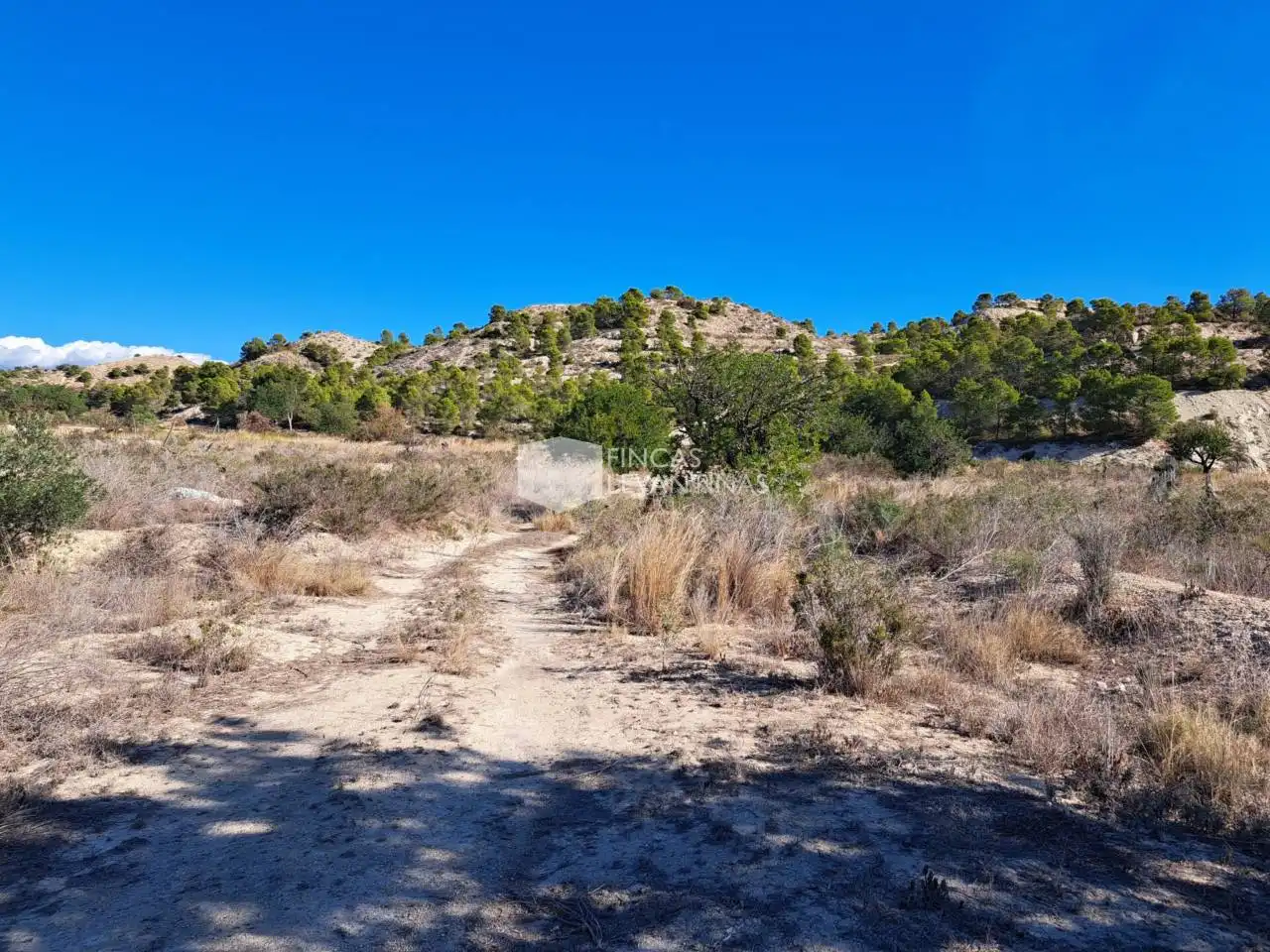 Terreny residencial en venda a Partidas de Alicante, imagen 18