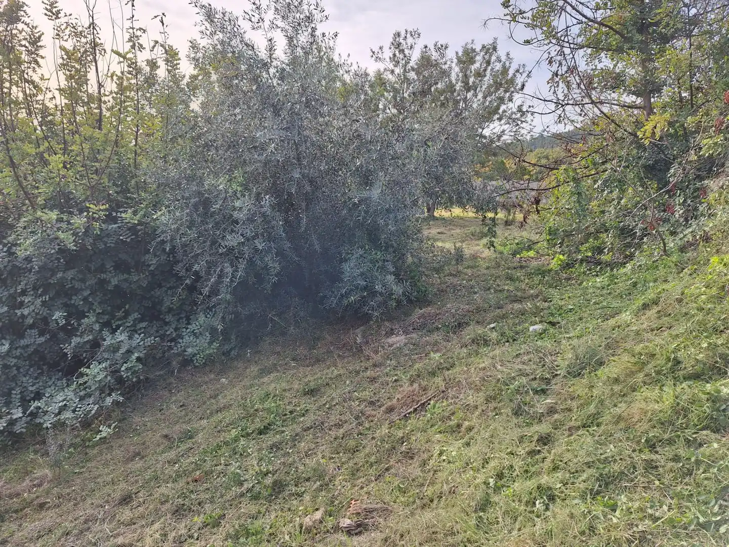 Terrenos y solares en venta en Alcover, imagen 5