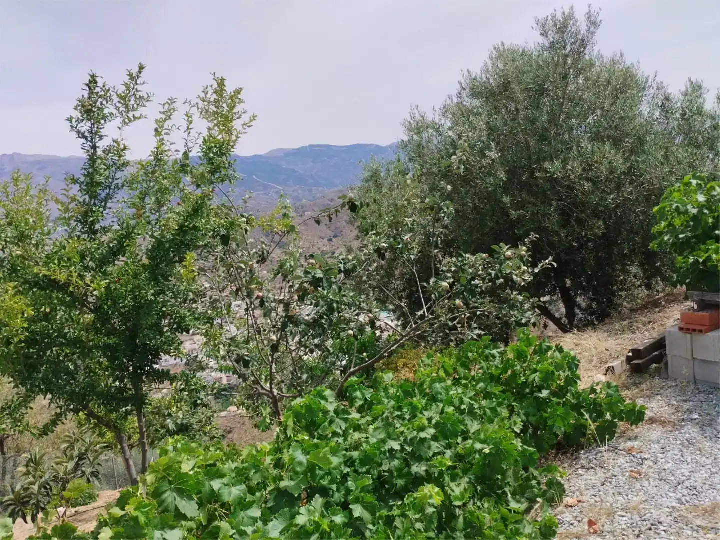 Terreno en venta en Arenas
