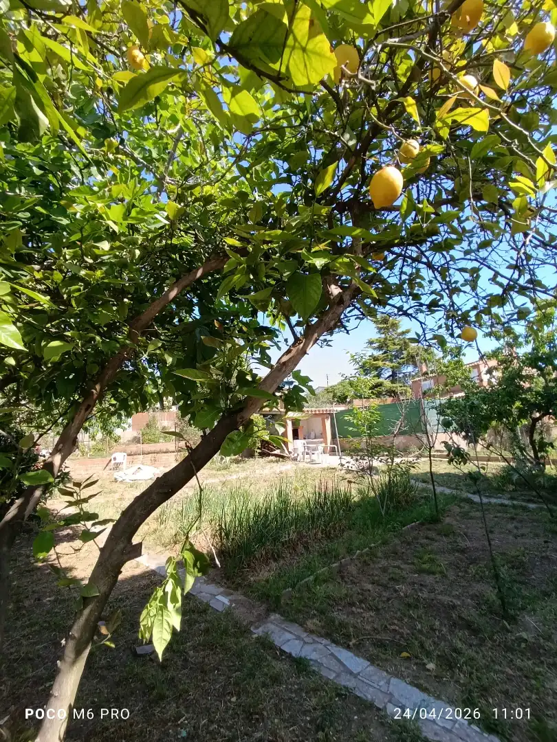 Casa o xalet en venda a Lliçà d'Amunt
