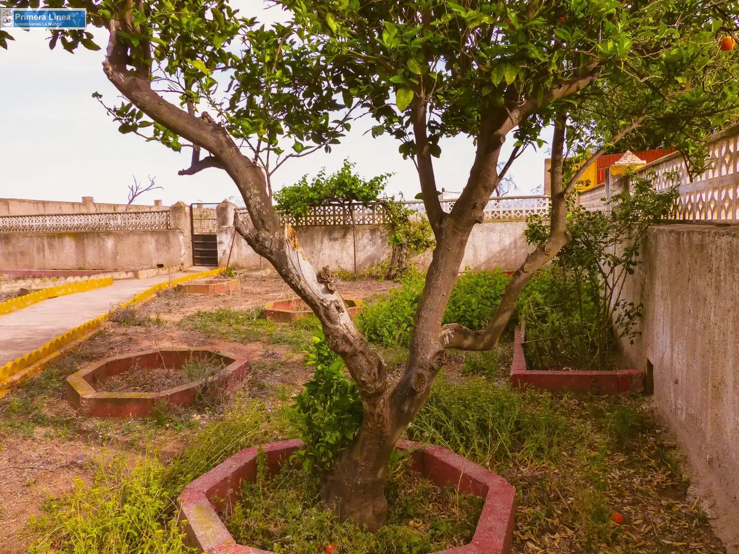 Finca rústica en venda en Fuente Álamo de Murcia amb Calefacció, Jardí privat i Terrassa