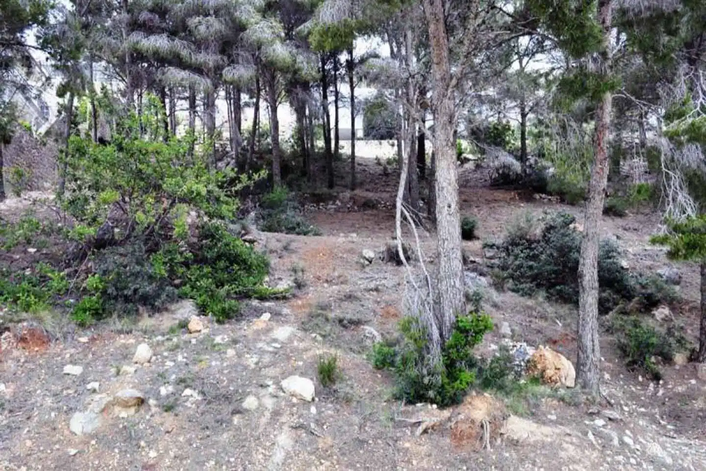 Terrenys i solars en venda a Altea Hills, imagen 5