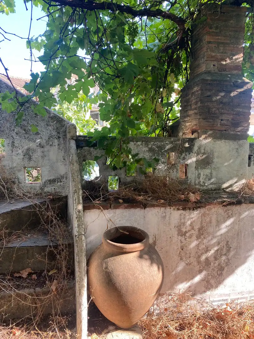 Jardí de Finca rústica en venda en Villar del Pedroso
