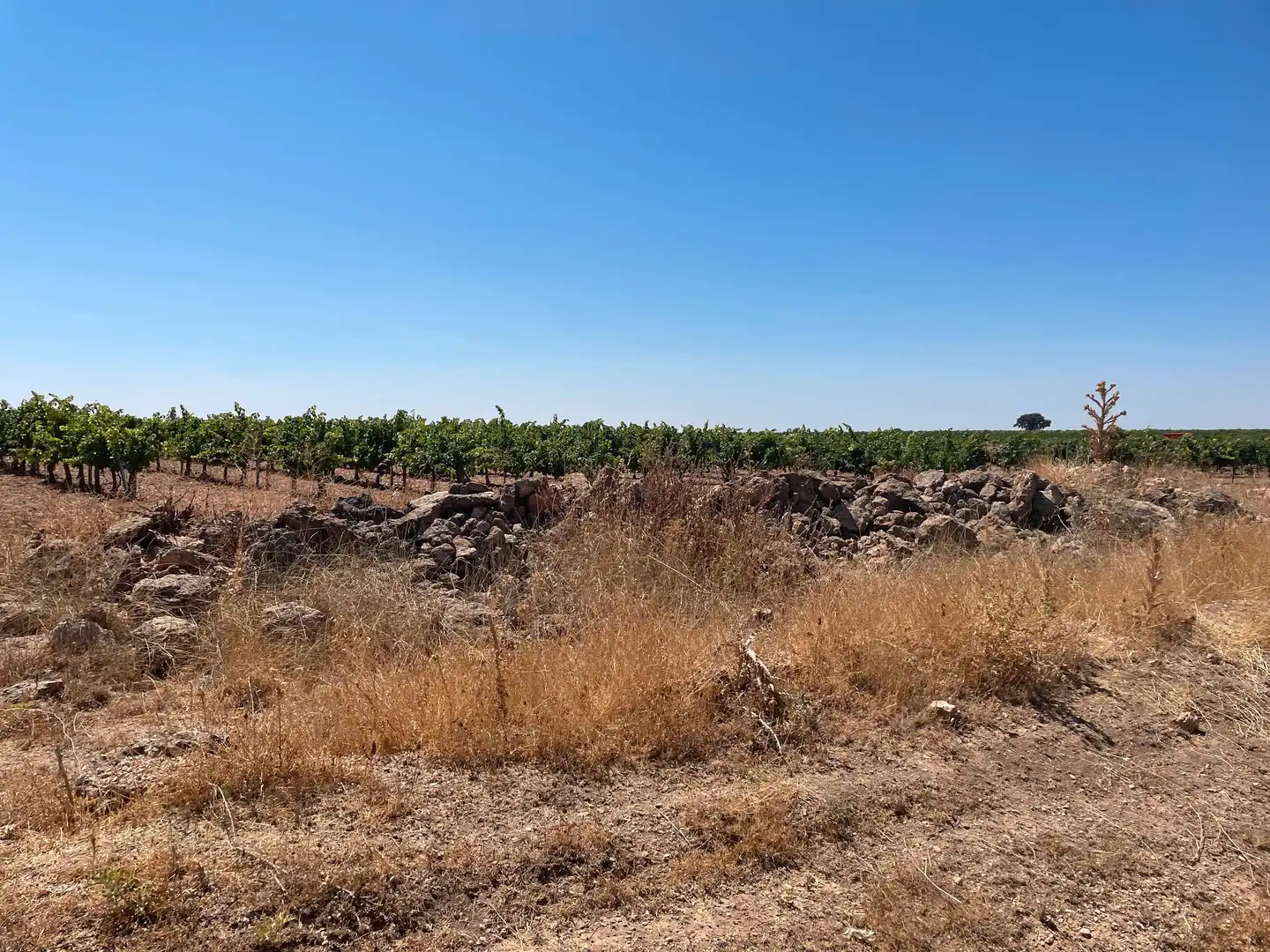 Terreni e lotti in vendita a Las Mesas, imagen 12