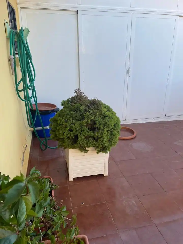 Garten von Maisonette zum Verkauf in Tarancón mit Klimaanlage, Heizung und Terrasse