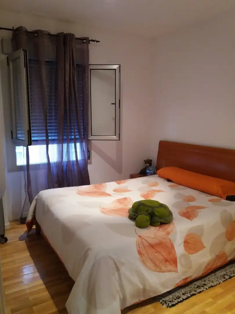 Study for rent in Calle Calle Nardo, Pardaleras