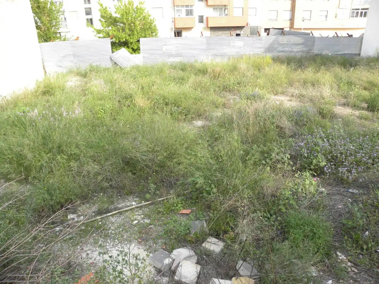 Terreno residencial en venta en Caravaca de la Cruz, imagen 4