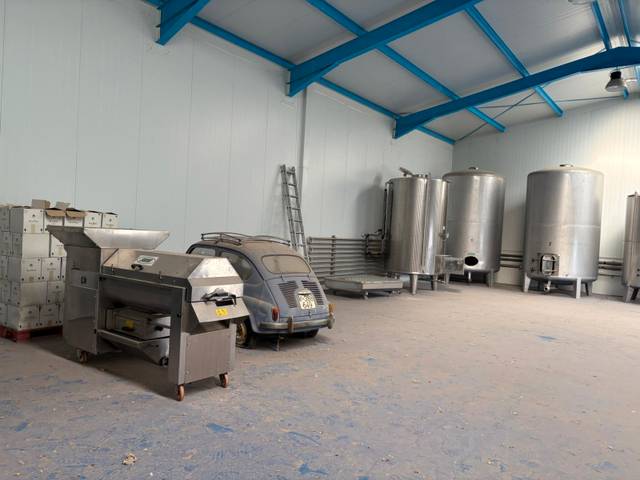 Nave industrial en Venta en Calle Duque de Alba, 31A en Pedro Muñoz