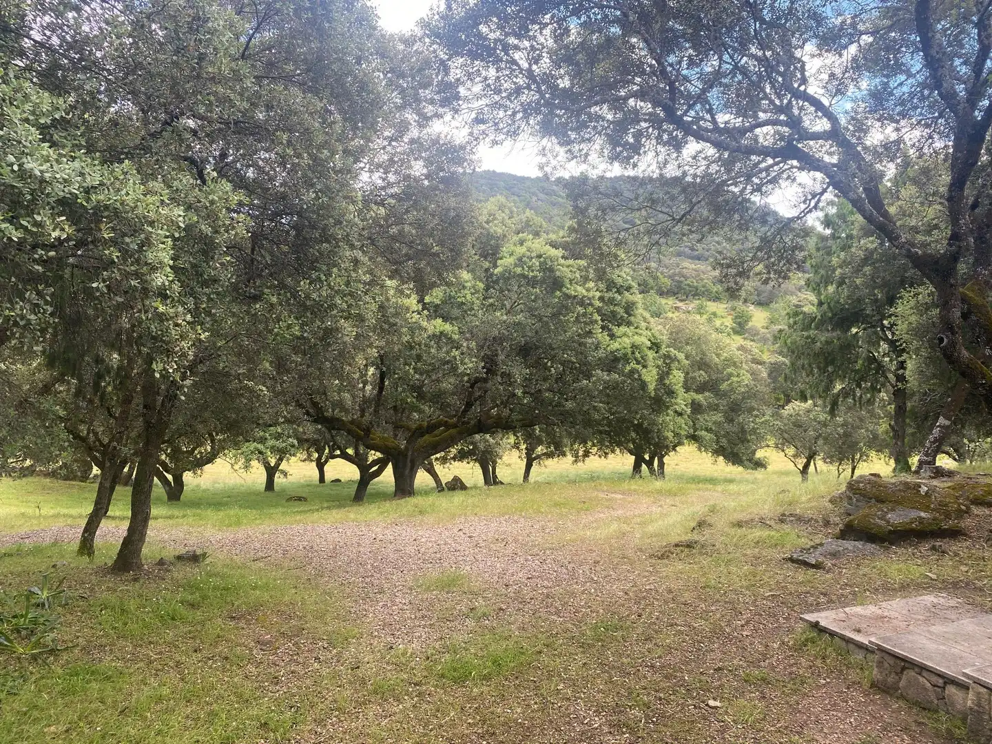 Country house zum Verkauf in El Real de San Vicente mit Klimaanlage, Heizung und Privatgarten