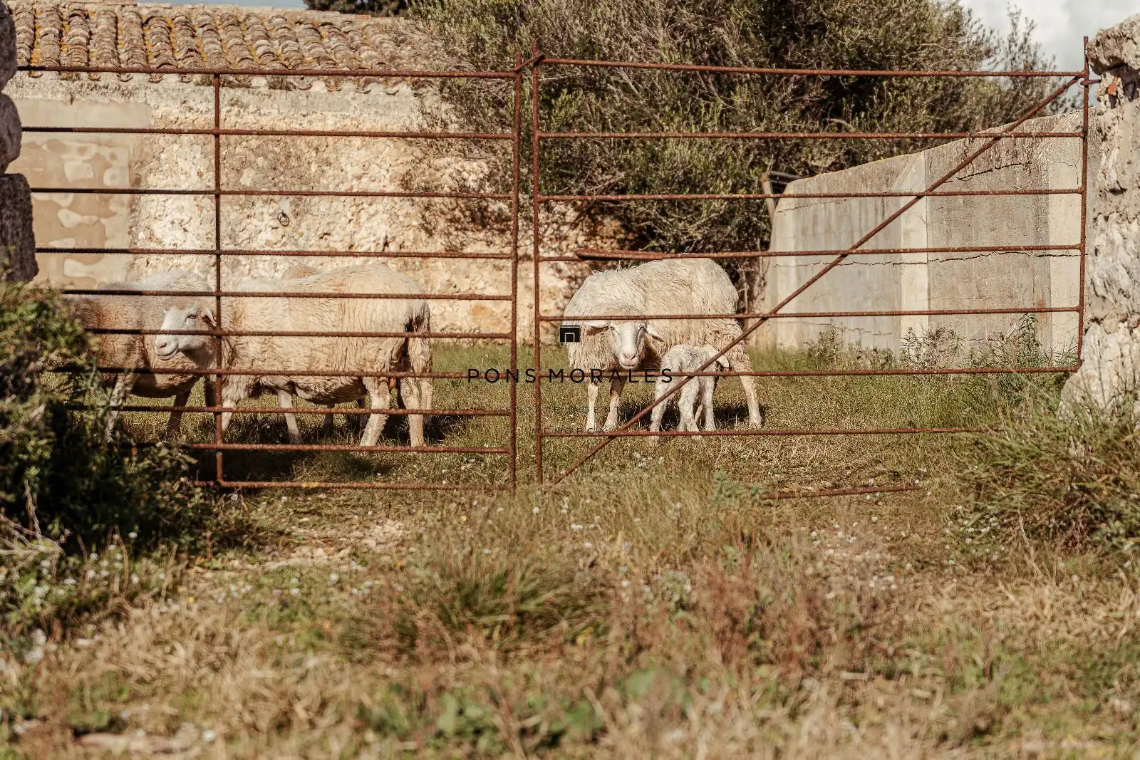 Maison rustique à vendre à Poligono 11 "So na Cassana", imagen 11