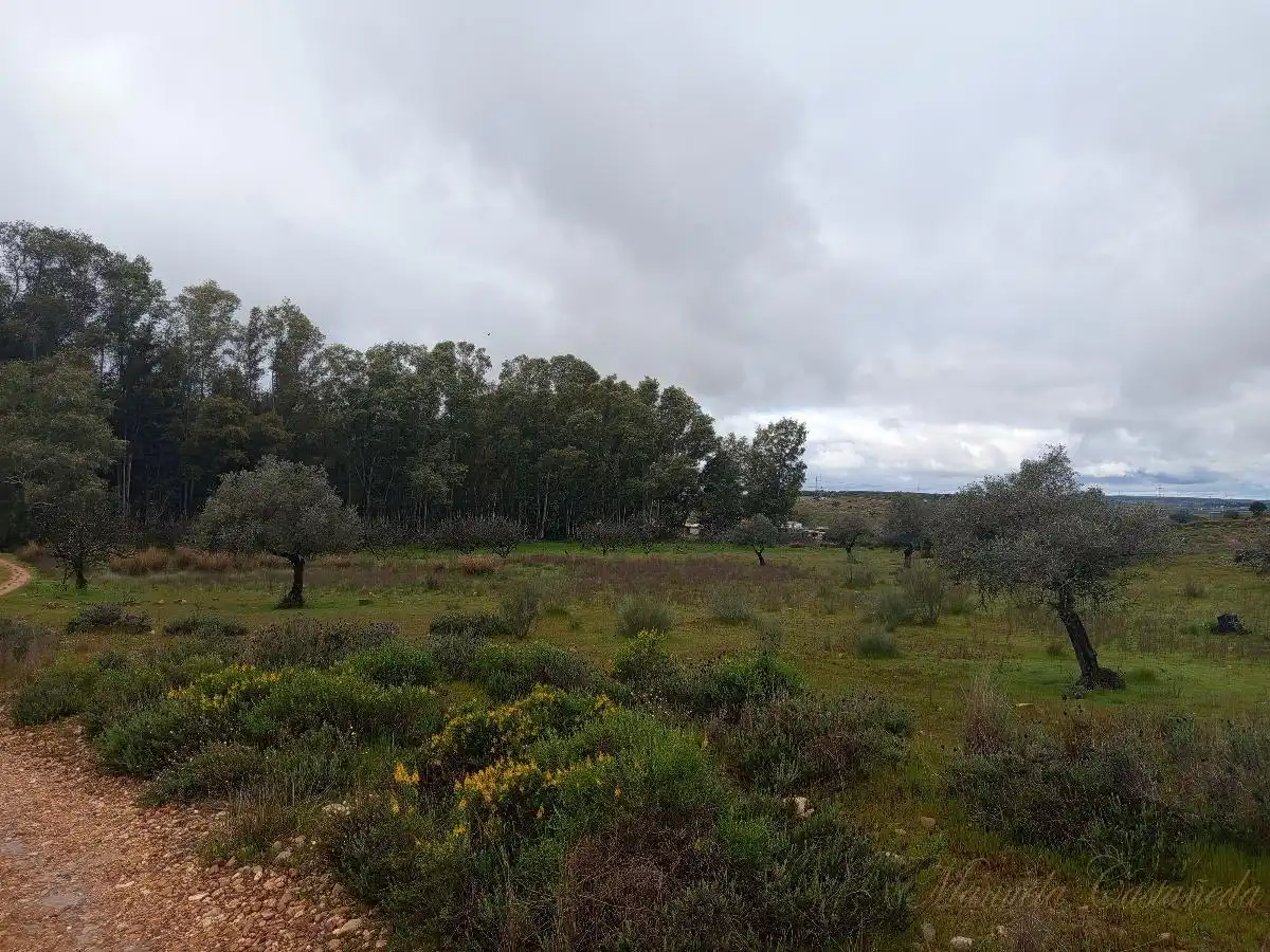 Finca rústica en venda a Oeste