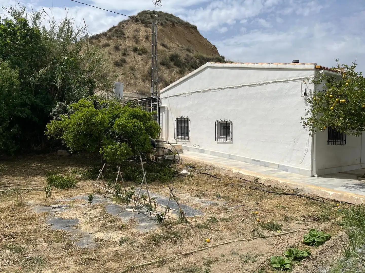 Vista exterior de Finca rústica en venta en Fines