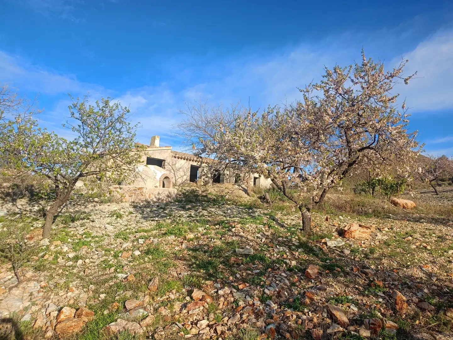Maison rustique à vendre à Pedanías Centro, imagen 14