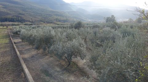 Finca Rúst. en venta en Polígonos., image 2