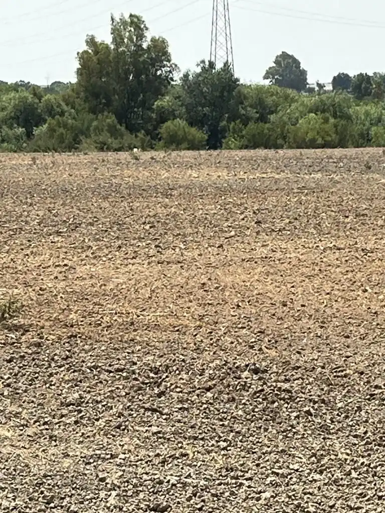 Terrenys i solars en venda a Carretera Cortes 4, imagen 5