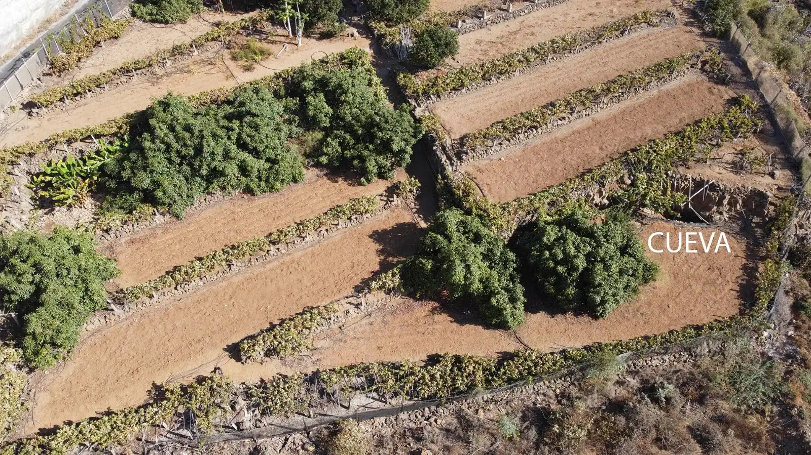 Terreno en venta en Arafo, Santa Cruz de Tenerife