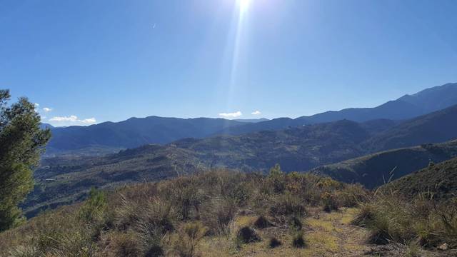 Terreno residencial en Venta en Alozaina